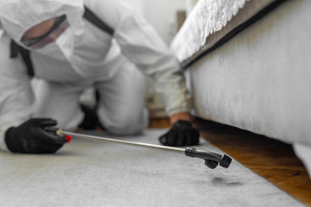 Professional Pest Control technician working in West Livingston, TX