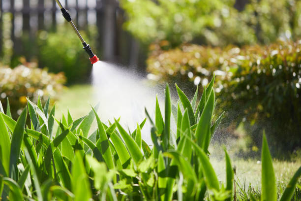 24/7 Emergency Cockroach Control experts in West Livingston, TX