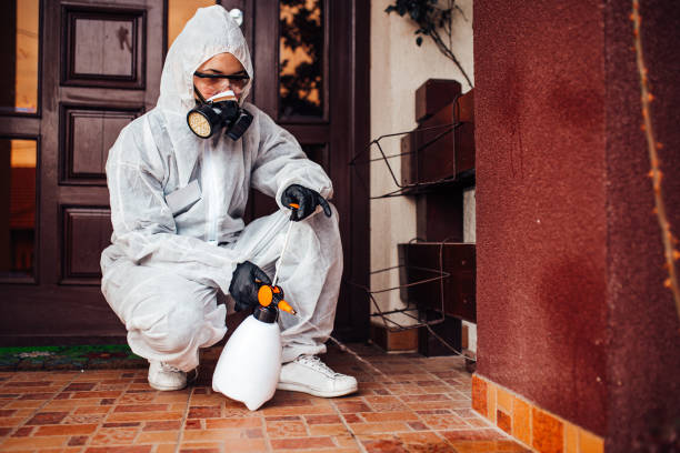 Reliable Cockroach Control contractor in West Livingston, TX by Nex Pest Control